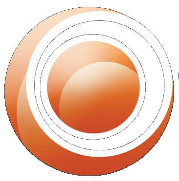 Race-Conz IT Solutions logo